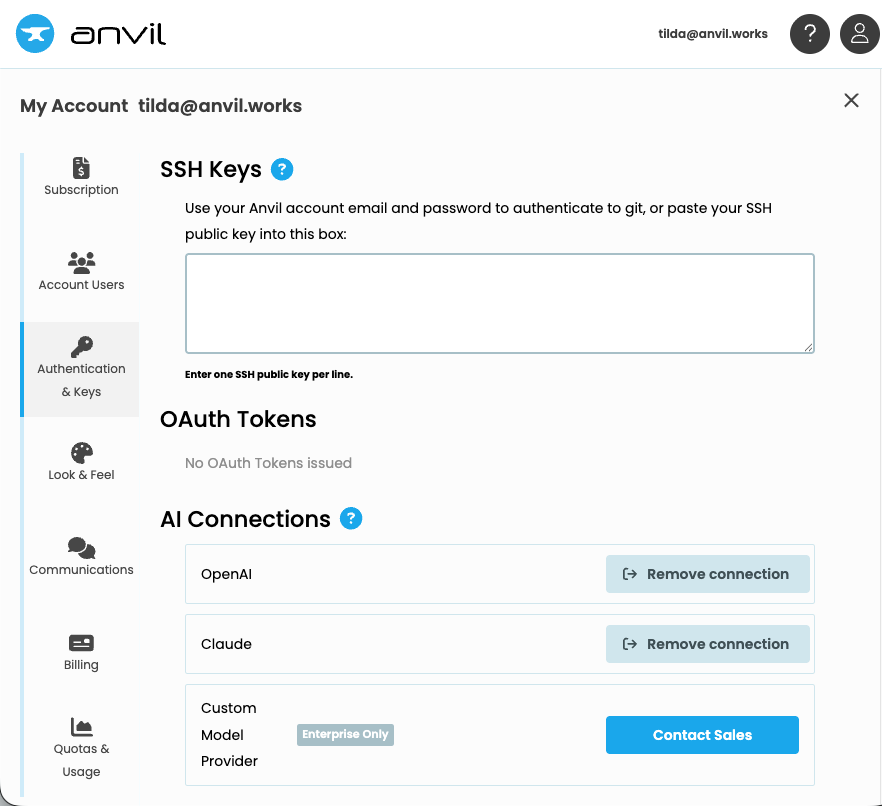 AI Connections in Authentication & Keys settings